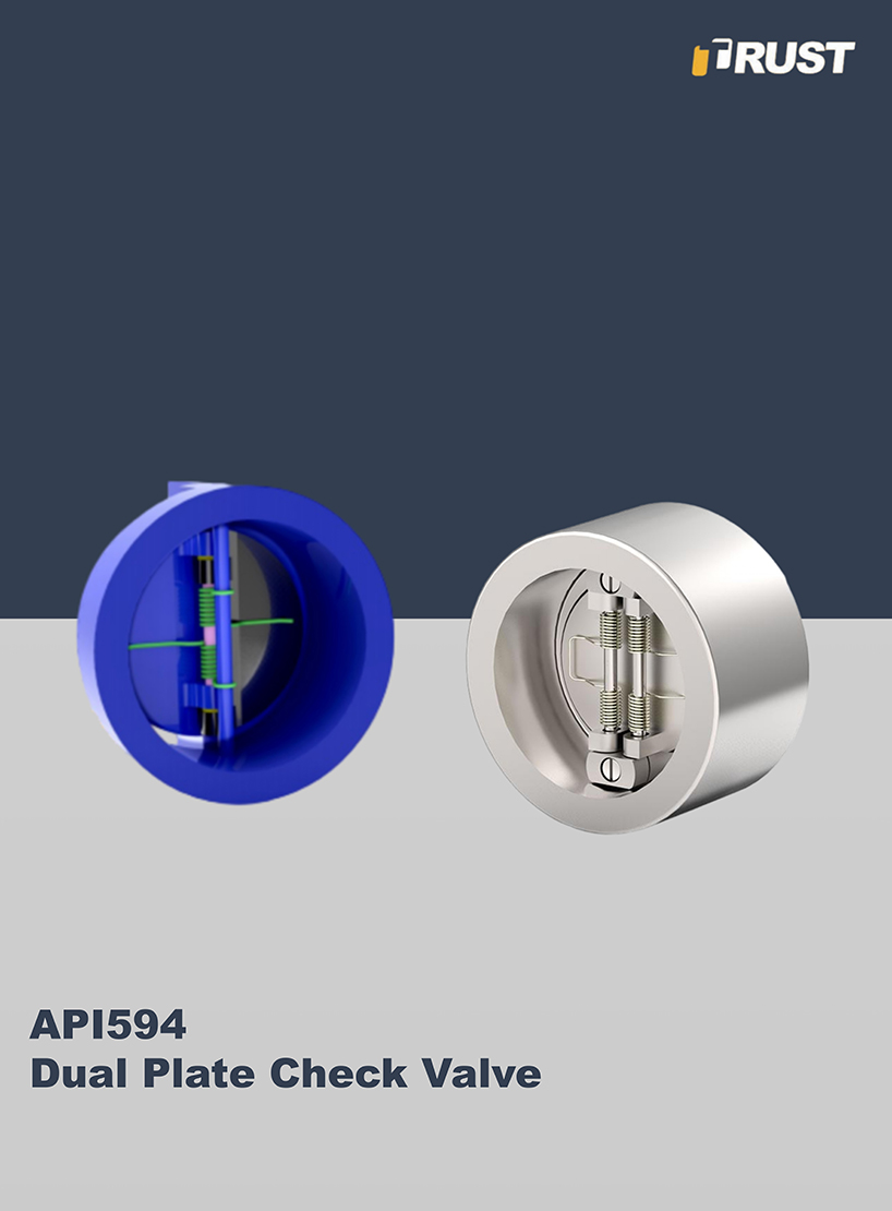 شیر یکطرفه دو صفحهای